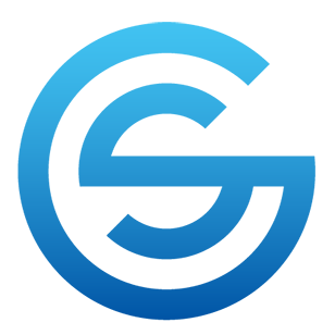 theme custom logo